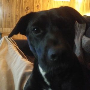 Meet your Posher, Jeff